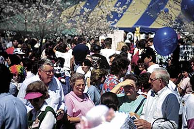cb_crowd