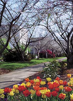 walkway