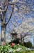 trees03