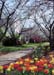walkway